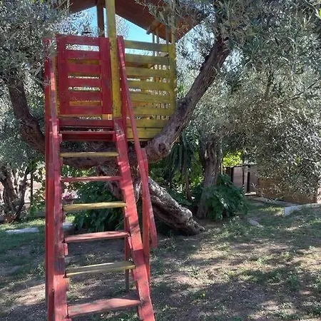 La Dimora Delle Rose Apartment Passignano sul Trasimeno
