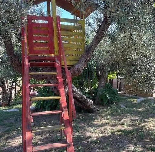 La Dimora Delle Rose Apartment Passignano sul Trasimeno